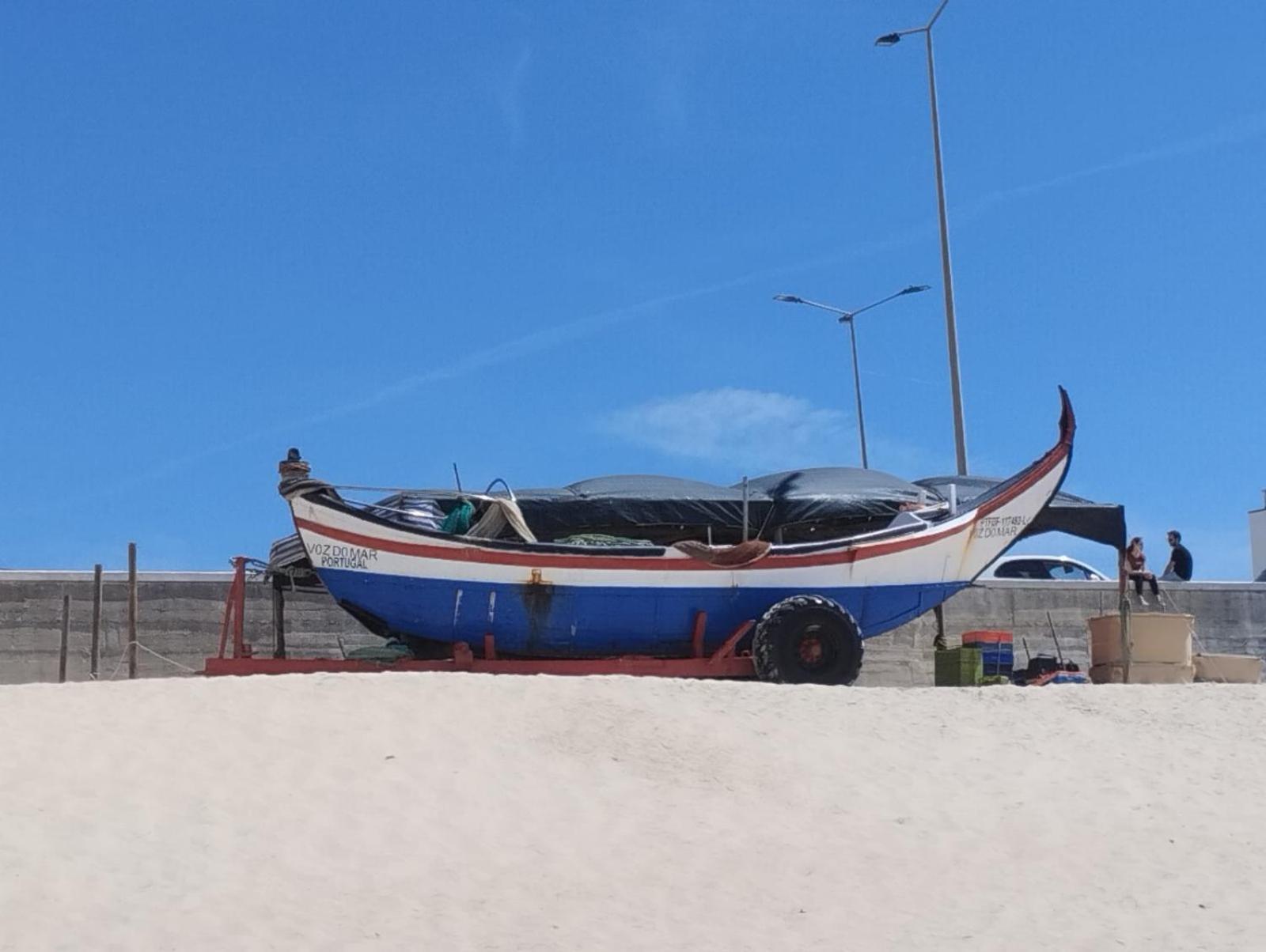 Magnifique Atlantic Terrace Maison Figueira da Foz Εξωτερικό φωτογραφία